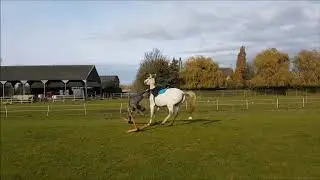 'Did you get it!?' (FALL OFF BERTIE!)