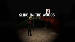 Just a typical Slide In The Woods...