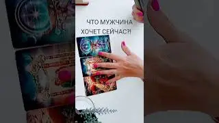 Что он хочет сейчас?!