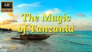 Musica Calma para Meditar, Ler e Estudar | Vídeos Incríveis da Tanzânia em 4K U-HD