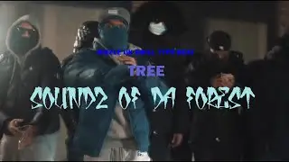 [FREE] Dizzle Dark Violin UK Drill Type Beat 2024-TREE (Prod. by Soundz Of Da Forest) 147 bpm C# min