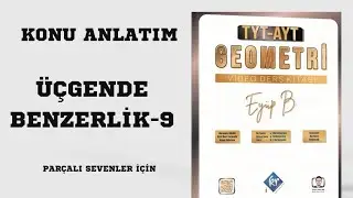 Benzerlik-9 thales ve kelebek benzerliği