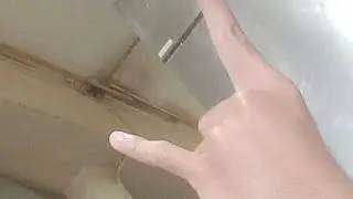 Ngudud