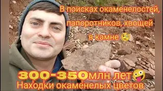 В поисках окаменелостей, папоротников, хвощей в камне. 300-350млн лет!  Находки окаменелых цветов🧐