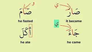 Unveiling the Hidden Meanings of Alif and Hamza! A MUST WATCH for students.