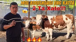 Mana Sizga Isbot  Mol Boqishda Eng Katta 2 Ta Xato 😳
