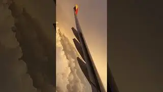 18 июня 2023 г.