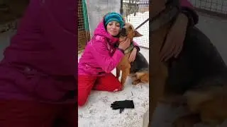 Собака в добрые руки Забава 