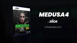 Medusa 4 Initial Audio Slice Loop Slicer Expansion Pack