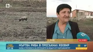Тази сутрин: Пресъхнал язовир и 7 тона мъртва риба до ямболското село Окоп