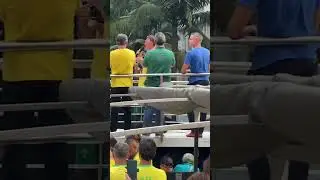 Discurso de Bolsonaro na Av. Paulista hoje: 07/09/2024