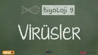 Virüsler