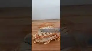 toast😋