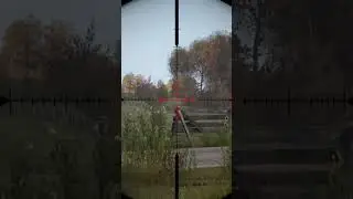 Average Modded DayZ experience