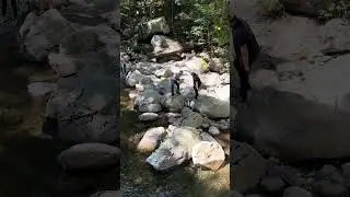 Gatlinburg, TN Throwing stones into the river (1) #shortvideo #shortsvideo #shorts #short