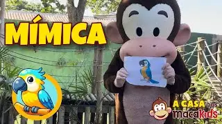 Mímica | Macakids