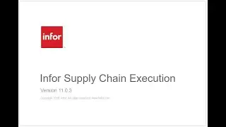 Серийные номера / Serial Number SKU Infor WMS 11.0.3