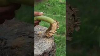How To Make Unique design Bamboo Sticks -DIY #shorts