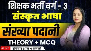 MPTET VARG 3 Sanskrit | संख्या पदानी  | Sanskrit Pedagogy | VARG 3 संस्कृत ||
