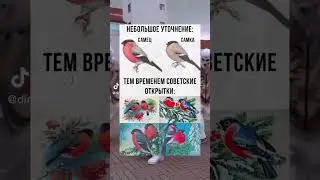 😂😂 #shorts #ютуб #прикол #мем #мемы #юмор #funny #смех