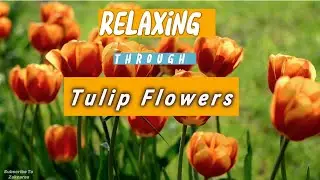Flowers Gives You Relaxation