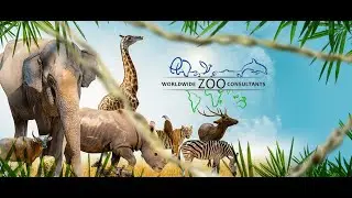 WorldWide Zoo Consultants: Where the Wild Meets Kingsmen's Production Magic