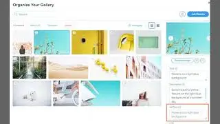 How to Add Alt Text to Image in Wix 2025