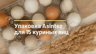 Упаковка Asintez для 15 куриных яиц | SHKOLHOZ