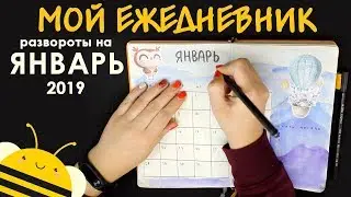 Оформление BULLET JOURNAL | Развороты ежедневника на Январь 2019