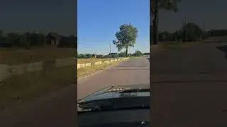 Речицкий район Гомельской области