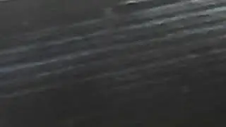 Бедная птичка!!!