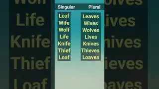 Singular And Plural Rules #english #grammar #spokenenglish #shorts #viralvideo