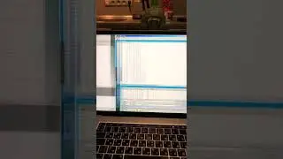 Vediamo cо скриптом и ЭБУ , вычисляем в прошивке счетчик по вводу SEED KEY