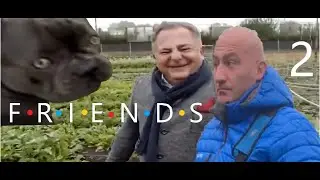Friends Polish Edition #02 2020 Poland Rewind