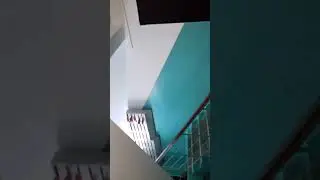 Вытаскивает листовки Грудинина