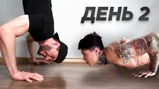 I'm learning to do handstand pushups like Chris Heria in 3 days.