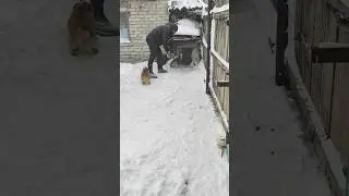 приехали до Пули, снегом завалило 🙈У Пули всё хорошо 🙏❤️