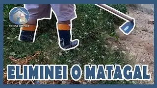 CAPINANDO(carpir) O QUINTAL