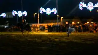 Feria Alcolea 2014. Demostración ecuestre.