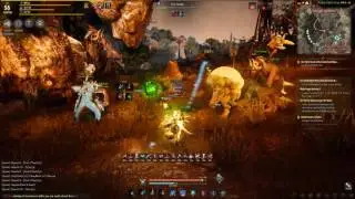Black Desert Online awakening witch farming