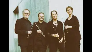 Herman Beeftink, Frequency - Bassano Quartet