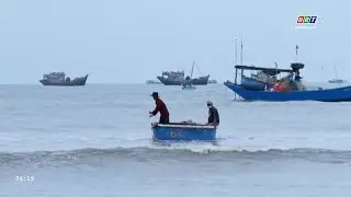 Ngư dân thị trấn Long Hải vào mùa đánh bắt cá trích | BRTgo