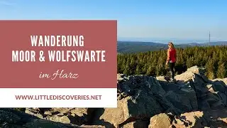Torfhausmoor und Wolfswarte | Wanderung im Harz | Little Discoveries