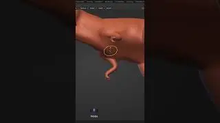 Sculpting in Blender - Fang - Primal 