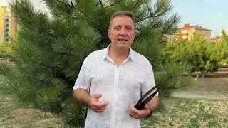 Хорошая новость!!! 👍👍👍