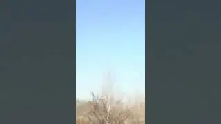 29 октября 2022 г.