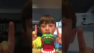 Crocodile Dentist Challenge!