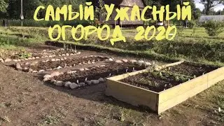 Самый ужасный огород 2020