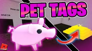 How to Get Pet Tags | All Answers to the Questions | Wacky Wizards