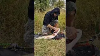 #pike #eat #snake #handmade #fishing #lure #youtubeshorts #youtube #shorts
